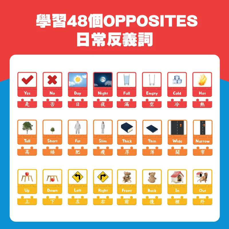 Curios Opposite Puzzle Card(MY)