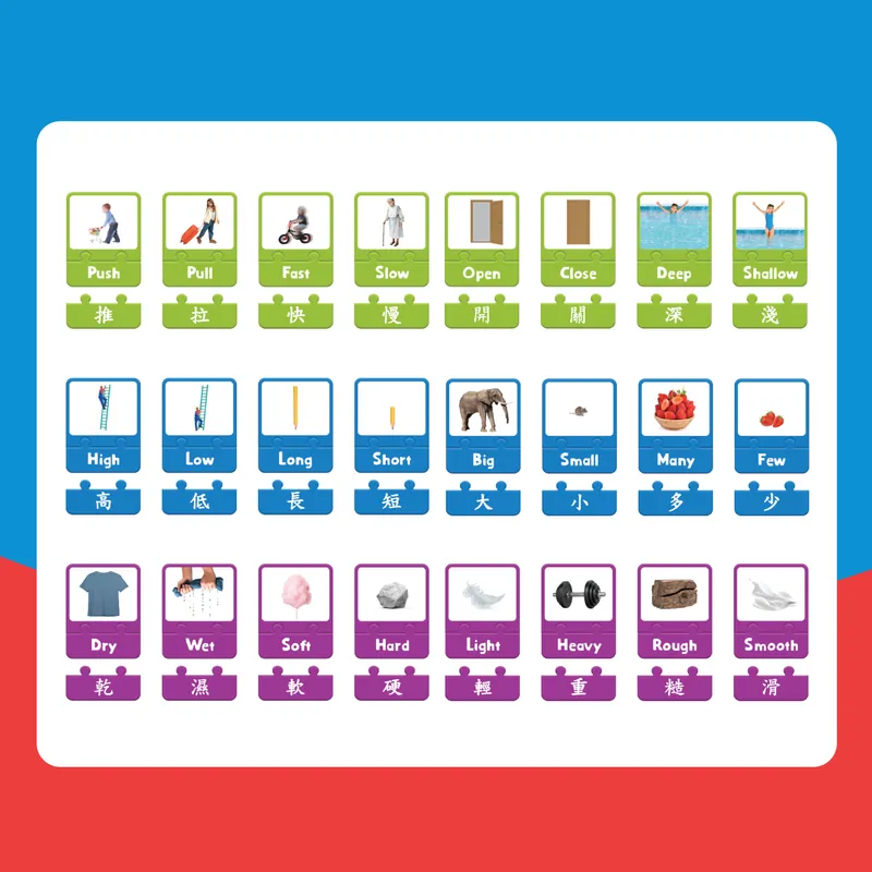 Curios Opposite Puzzle Card(MY)