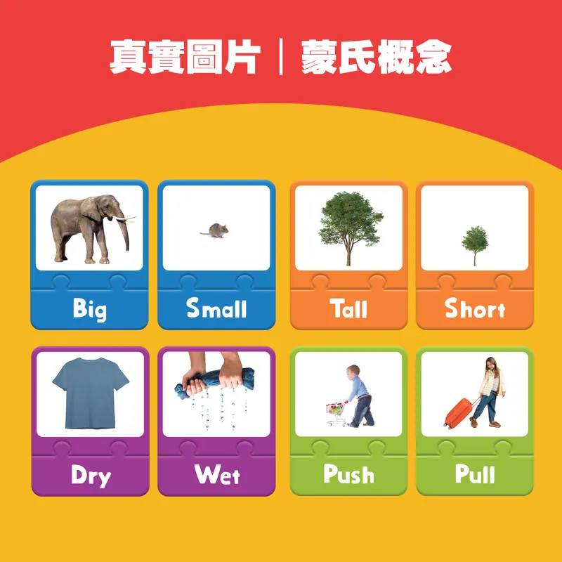 Curios Opposite Puzzle Card(MY)