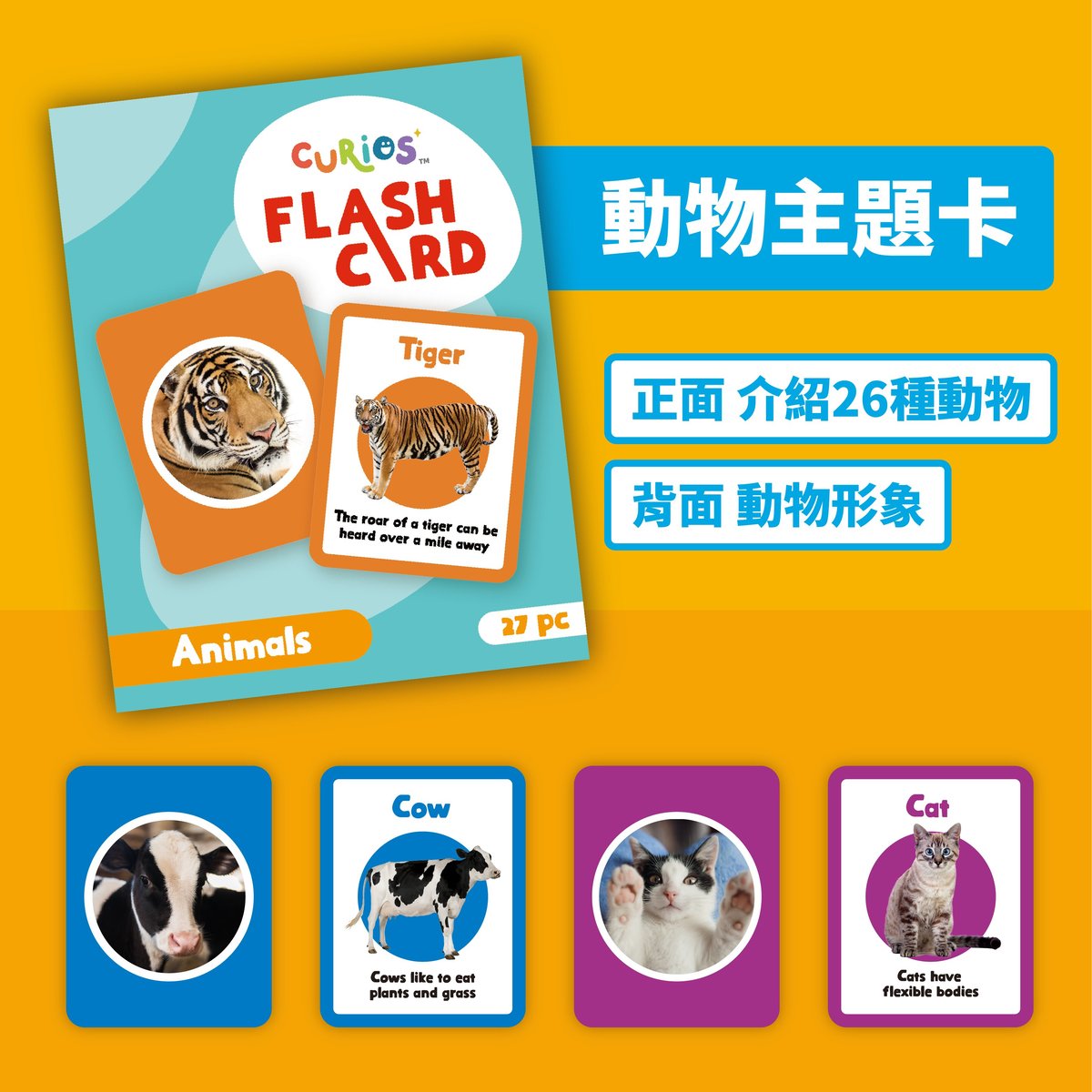 Curios Flashcard(MY)