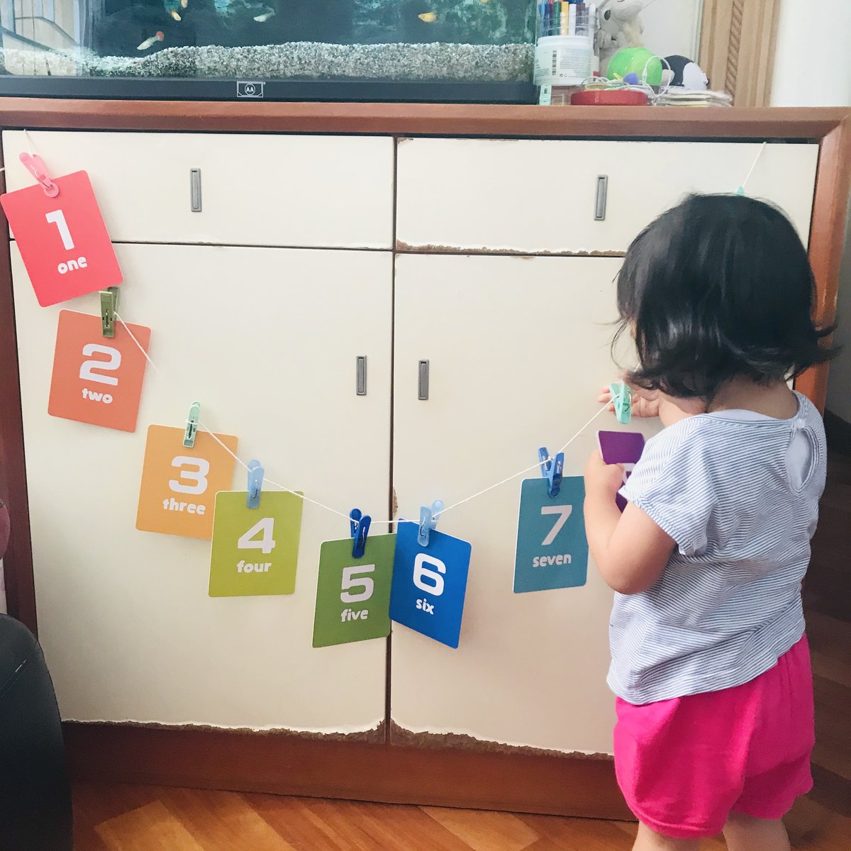 Curios Flashcard(MY)