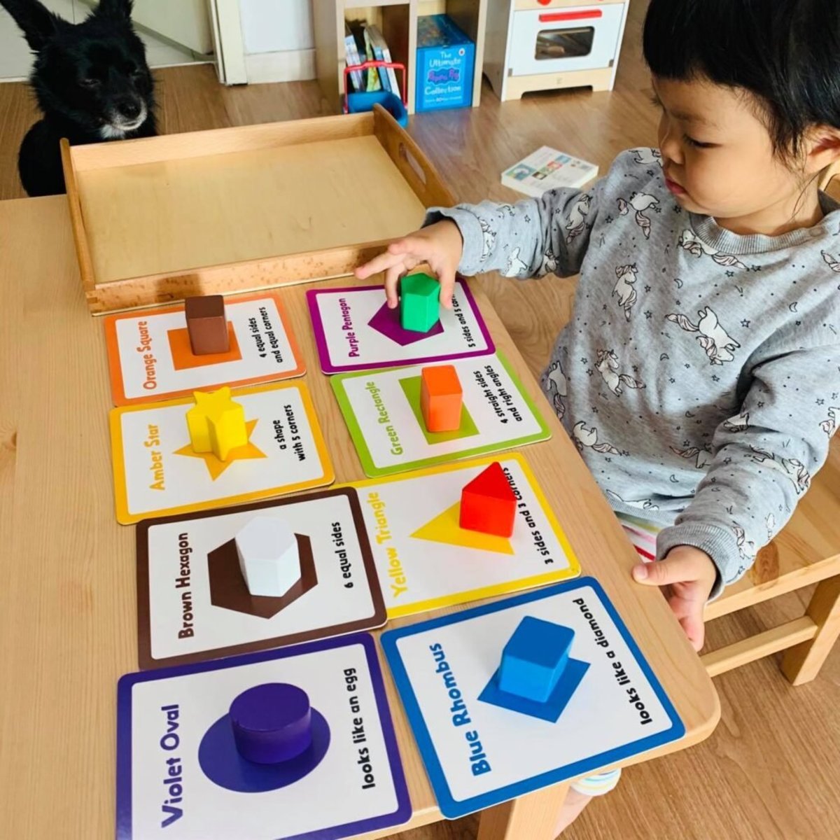 Curios Flashcard(MY)